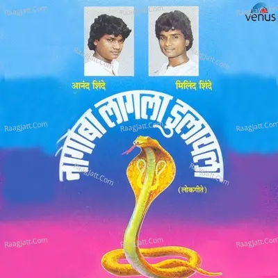 Nagoba Lagla Dulayala Poster