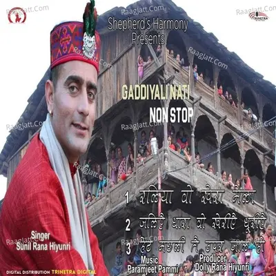 Gaddiyali Nati Nonstop Poster