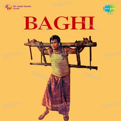 Baghi Poster
