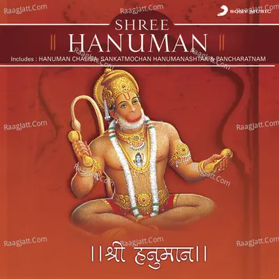 Shree Hanuman - Shounak Abhisheki