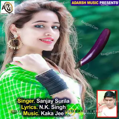 Galata Jawani Raja Ka La Na Newan Ho Cover