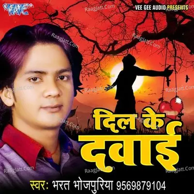 Dil Ke Dawai Poster