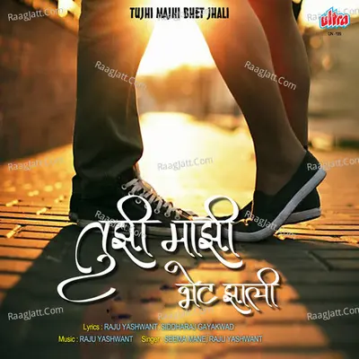 Tujhi Majhi Bhet Jhali Poster