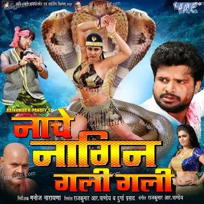 Nache Nagin Gali Gali Poster