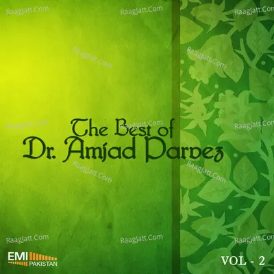 The Best of Dr. Amjad Parvez, Vol. 2 - Dr. Amjad Parvez