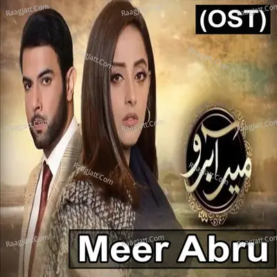 Meer Abru Cover