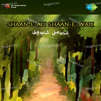 Shaan E Ali Shaan E Wali Poster