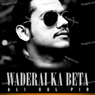 Waderai Ka Beta Cover