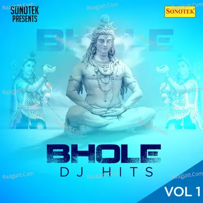 Bhole DJ Hits Vol 1 Poster