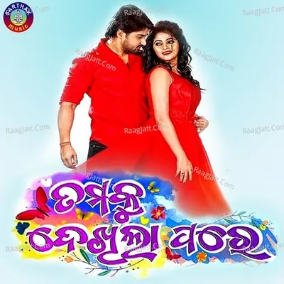 Tamaku Dekhilaa Pare Poster