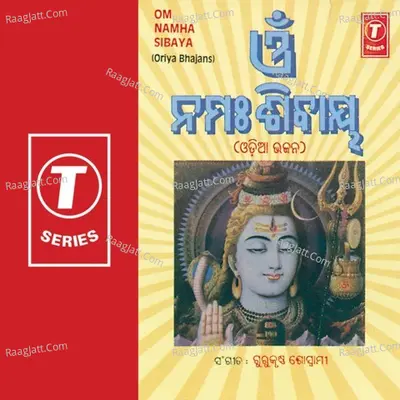 Om Namah Sibaya - Saroj Nanda