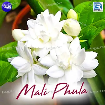 Mali Phula - Kumar Babu