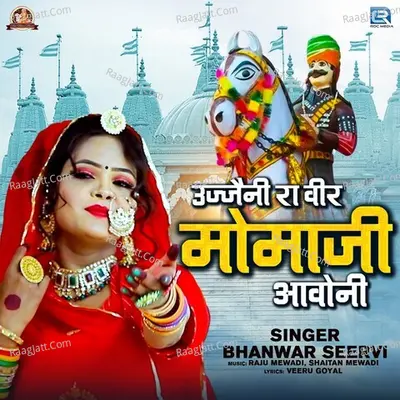 Bhanwar Seervi Image
