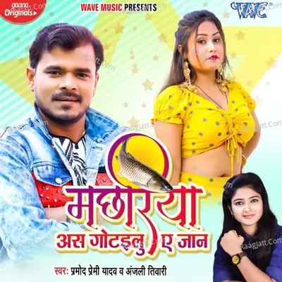Machhariya As Gotailu Ae Jaan Cover