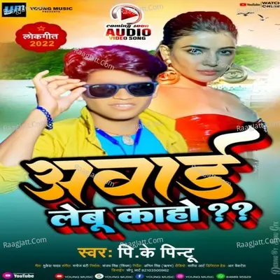 Pk Pintu Image