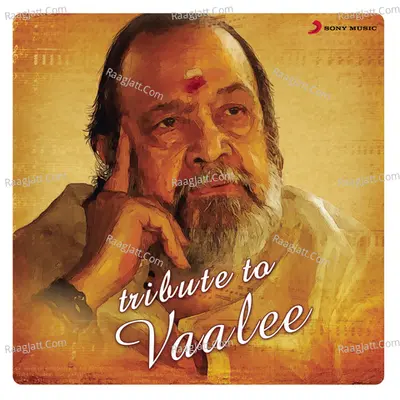 Tribute to Vaalee Poster