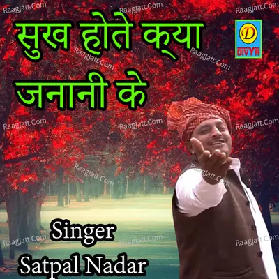 Sukh Hote Kha Jnani Ke Cover