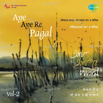 Aye Aye Re Pagal - Rahul Mitra CD-2 - Rahul Mitra