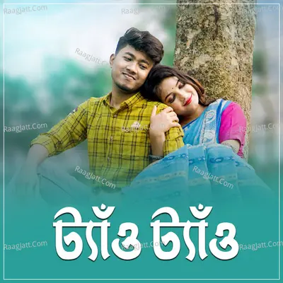 Acoustic Dipankar Image