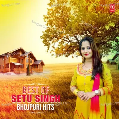 Best Of Setu Singh Bhojpuri Hits - Setu Singh