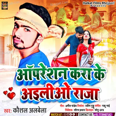 Operations Kara Ke Aailo Raja Cover