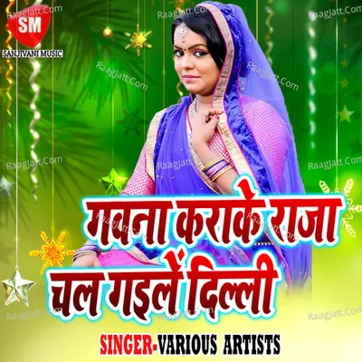 Gauna Kara Ke Raja Chal Gaila Dilli Poster
