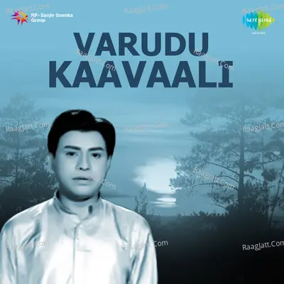 Varudu Kaavaali Poster