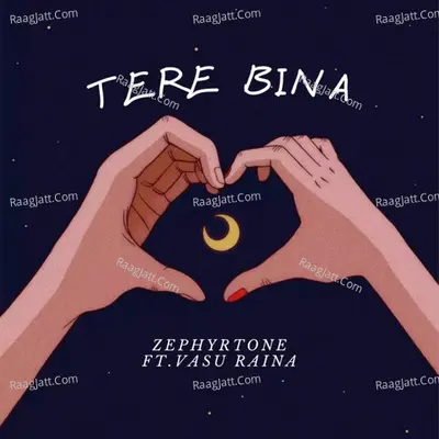 Tere Bina Cover