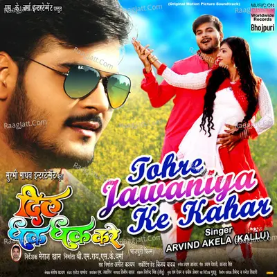Tohre Jawaniya Ke Kahar (From "Dil Dhak Dhak Kara") Cover