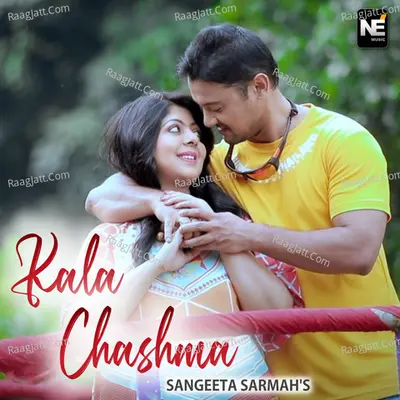 Kala Chashma - Single Cover