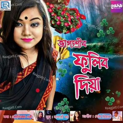Fulibo Diya Cover