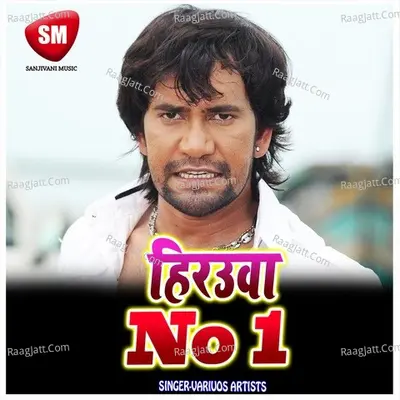 Hirauwa No 1 - Praveen Soni