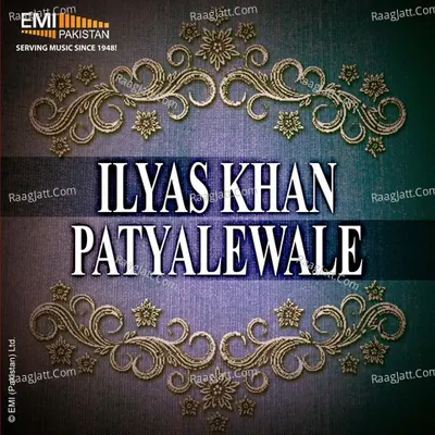 Ilyas Hussain Khan Patyalewale - Ilyas Hussain Khan Patyalewale