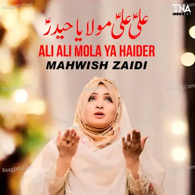 Ali Ali Mola Ya Haider - Single