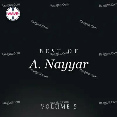 Best Of A. Nayyar, Vol. 5 Poster