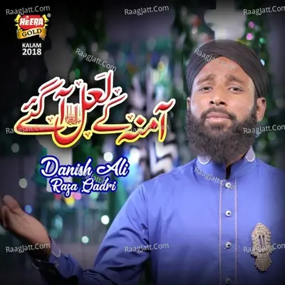 Danish Ali Raza Qadri