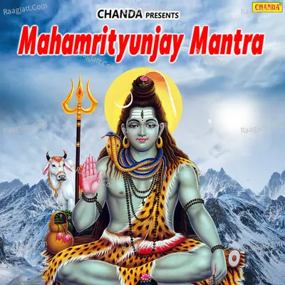 Mahamrityunjay Mantra - Shailendra Bharti