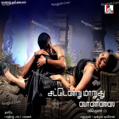Satterndru Maaruthu Vanilai (Original Motion Picture Soundtrack) - Shyam Mohan