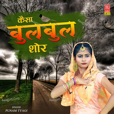 Kaisa Bulbul Shor Cover