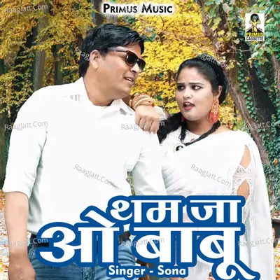 Tham ja o babu Cover