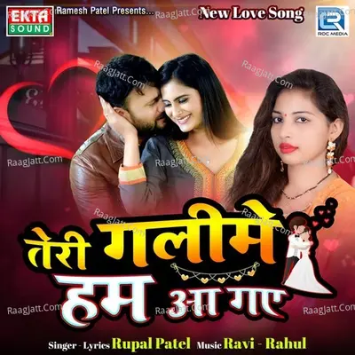 Teri Galime Hum Aa Gaye Cover