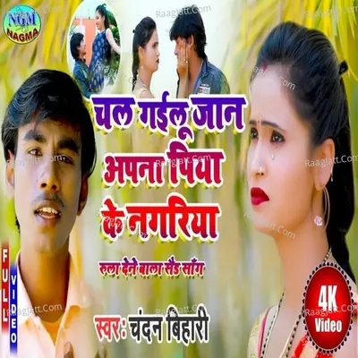 chal gailu jan apana piyaba ke nagriya Cover