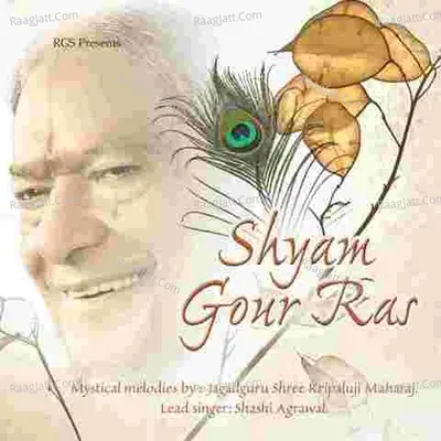 Shyam Gour Ras Poster