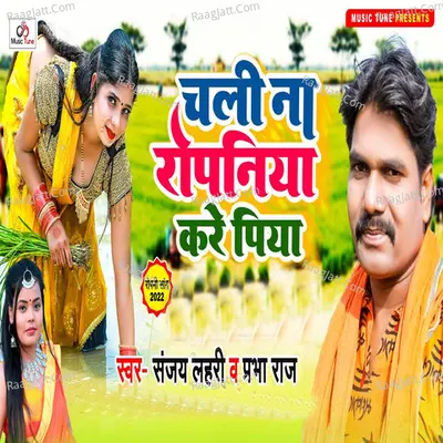 Sanjay Lahari Image