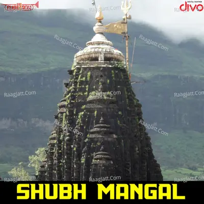Shubh Mangal Poster