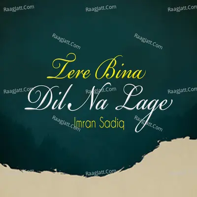 Tere Bina Dil Na Lage Cover