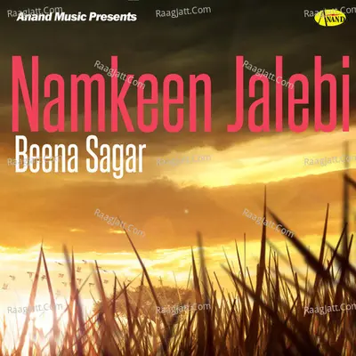 Namkeen Jalebi - Beena Sagar