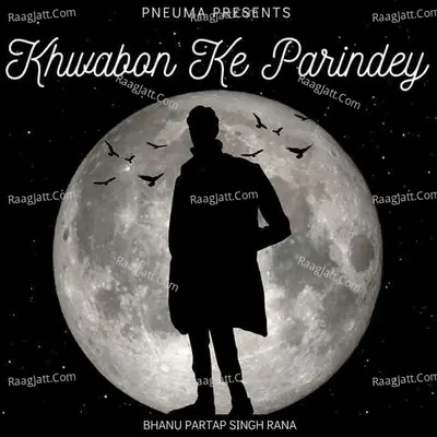 Khwabon Ke Parindey Cover