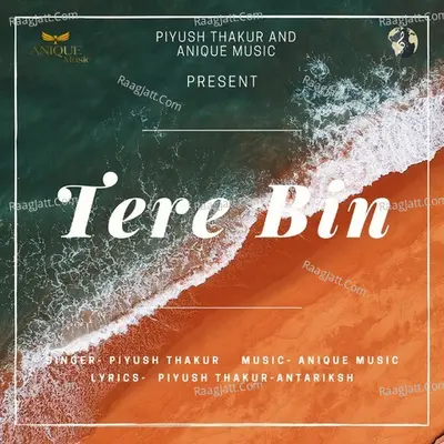 Tere Bin Cover