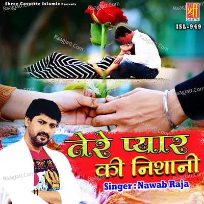 Tere Pyar Ki Nishani Cover